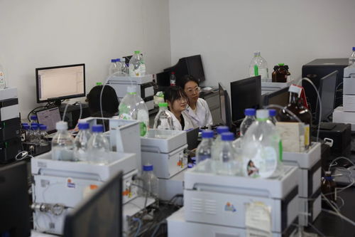 2024全國重點網絡媒體龍江行丨黑龍江中醫藥大學重點實驗室 科技創新主力軍，助力新質生產力與網絡科技服務融合發展